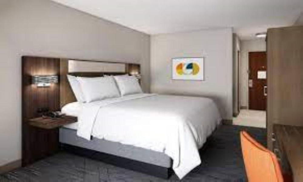 Standard King Room with Mobility Accessible Roll-In Shower interior